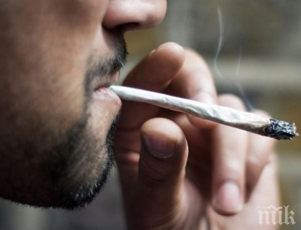 Затягат контрола за пушенето на билки