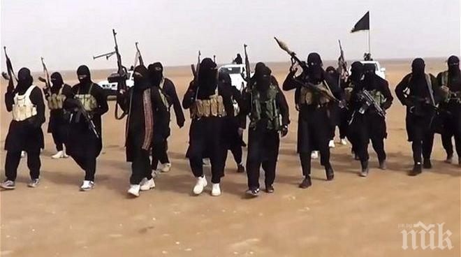 Поредно зверство! „Ислямска държава“ е екзекутирала цивилни в Ирак, газейки ги с булдозер


