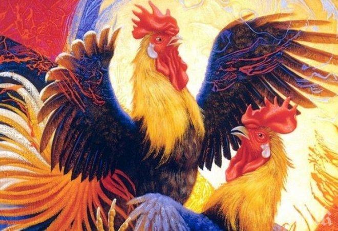 Агресивност и жизненост са ключовите думи през 2017 - годината на петела!