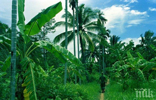 Азия търси алтернативни търговски договори след оттеглянето на САЩ от ТТР