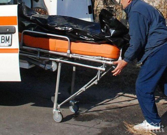 Седем обезобразени тела са били открити на туристически курорт в Мексико

