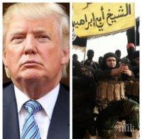 Тръмп не се шегува: Поиска от армията унищожаване на „Ислямска държава” за 30 дни. Планът е обсъден с Путин