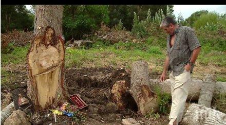 чудо ликът христос появи дърво