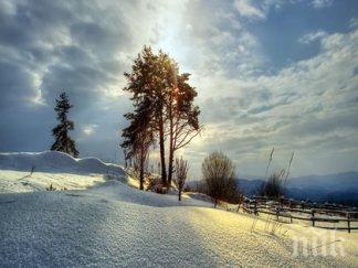 стопля облачно мъгливо максималната температура стига градуса