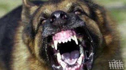 побесняло куче нахапа стопанина