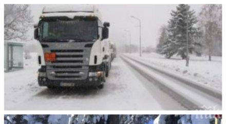 студът удари бизнеса българия