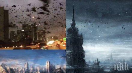 зловещ апокалипсис хиляди черни птици изпълниха небето сащ хората ужасени видео