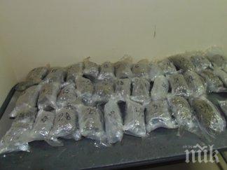 удар митницата откриха марихуана 640 бона