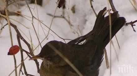 интересно края месеца дните женския кос казва поверието