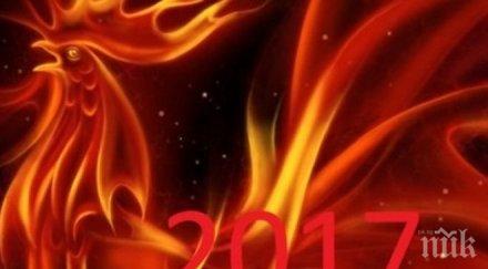 годината огнения петел любопитно петела