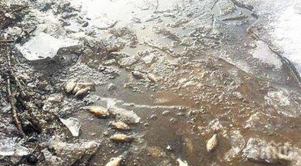 невиждан студ рибата езерото дупница измря лед