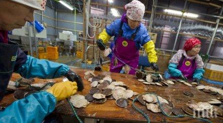 чужденците работещи япония вече милиона