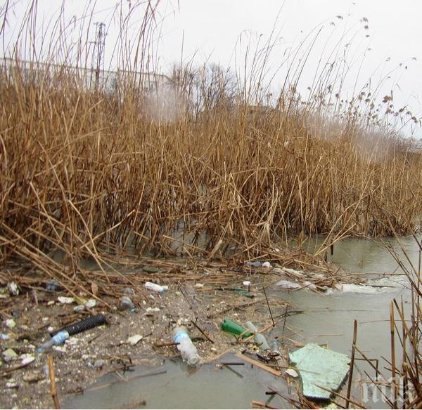 Почистват езерото Вая по европроект за близо 1 млн. лева