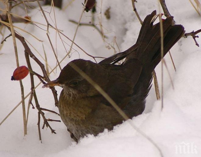 ИНТЕРЕСНО! От днес до края на месеца са Дните на женския кос! Ето какво казва поверието