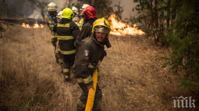 ОГНЕН АД! Извънредно положение в Чили – пожари убиха най-малко 11 души, властите не могат да се справят 