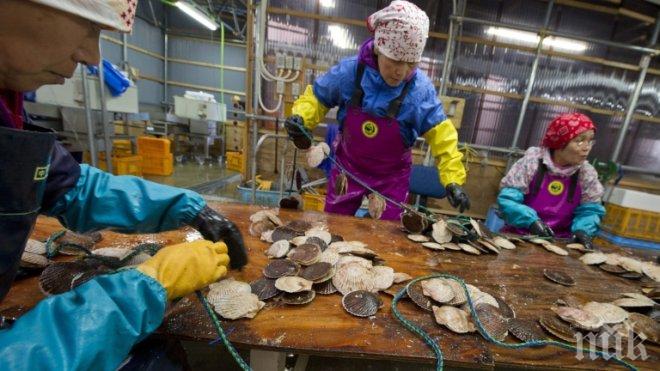 Чужденците, работещи в Япония вече са 1.8 милиона