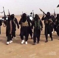 Убиха 20 терористи от 