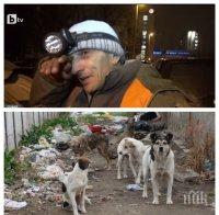 Безработен стана боклукчия, за да помага на бездомните кучета