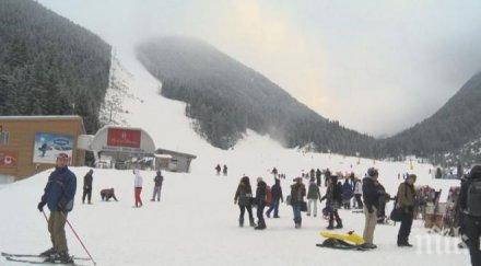 скандална схема wwf провалиха кампанията пирин