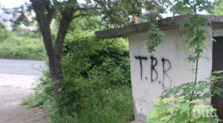 съдът пусна ареста майката захвърлила бебето храстите