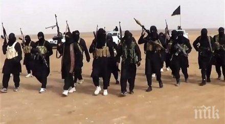 тероризмът стигна канадска джамия