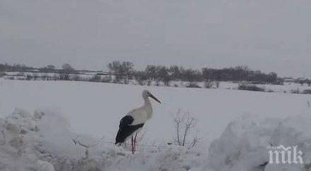 времето следващите дни затоплянето продължава термометърът полудява