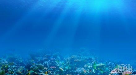 подводни роботи симулираха морския живот