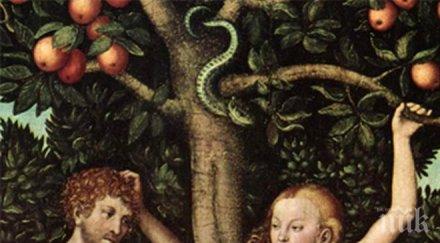 пазете ден грехопадението