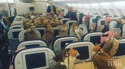 саудитски принц купи самолетни билети соколите
