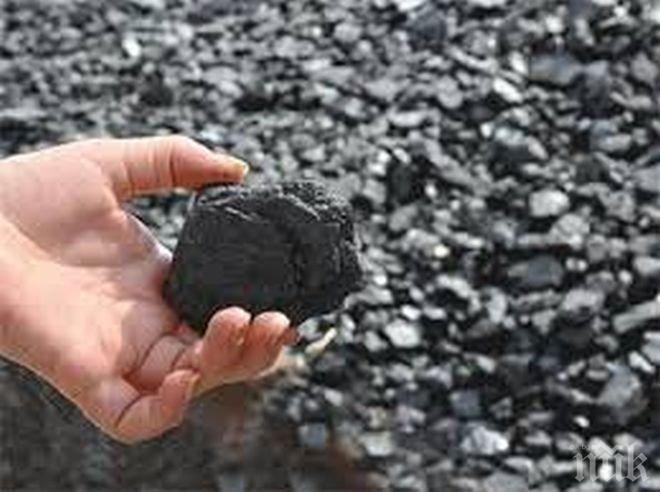 Криза! Има недостиг на въглища за отопление във Видинско


