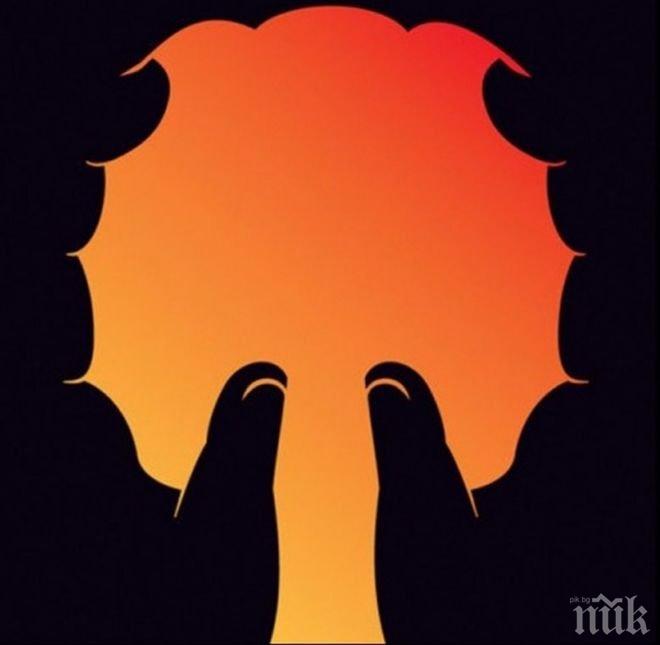 Какво виждате на тази снимка? Уникален тест разкрива характера ви