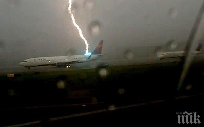 Те са най-големите каръци в света! Вижте защо