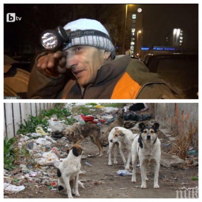 Безработен стана боклукчия, за да помага на бездомните кучета