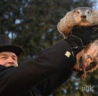 Мармотът Фил предсказа: Ще има още 6 седмици зима