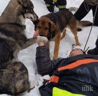 Спасяват паднал катерач в района на Боянския водопад