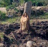 Чудо! Ликът на Христос се появи върху дърво (УНИКАЛНО ВИДЕО)