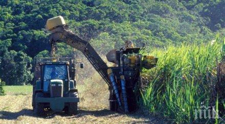 световните пазари храните поскъпват драстично януари