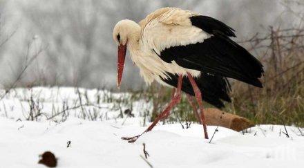 облаци дъжд провалят уикенда