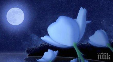 февруари един силните енергийни дни владейте емоциите