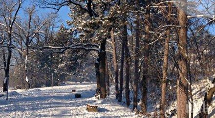 жега термометрите скачат градуса