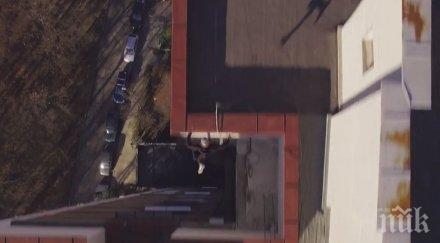 уникум българи взривиха социалните мрежи видео