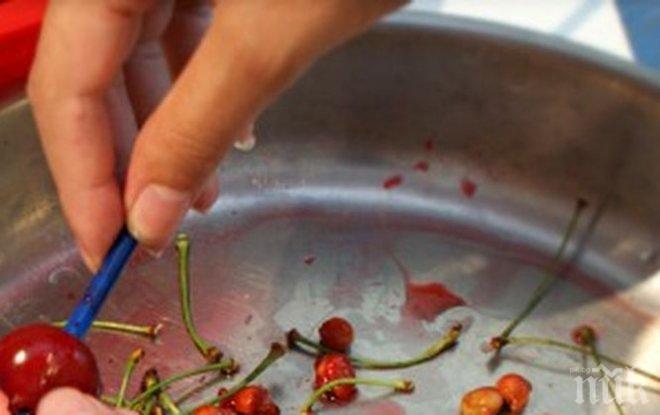 ТОТАЛНА СЕНЗАЦИЯ! Тези семки убиват рака…