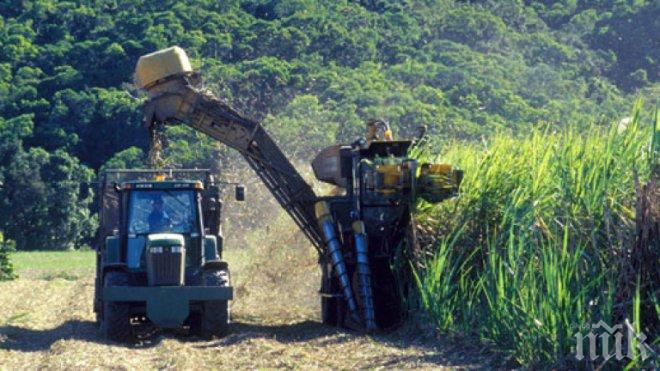 На световните пазари: Храните поскъпват драстично през януари