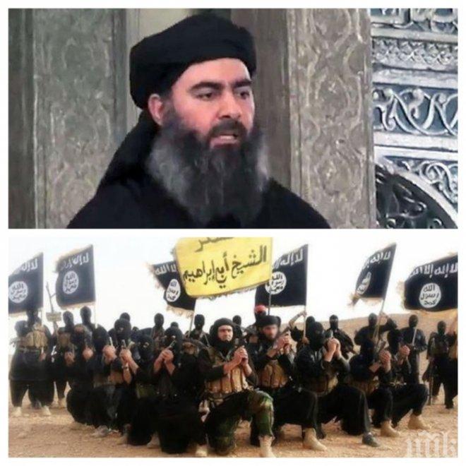 РАЗКОЛ! Главатар на Ислямска държава се отметна от клетвата си към Ал Багдади 