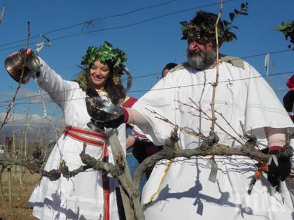 Българи и гърци зарязаха лозята заедно