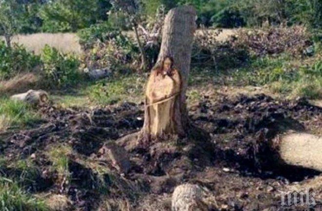 Чудо! Ликът на Христос се появи върху дърво (УНИКАЛНО ВИДЕО)