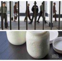 Затворници от Белене ще произвеждат млечни продукти по световни стандарти