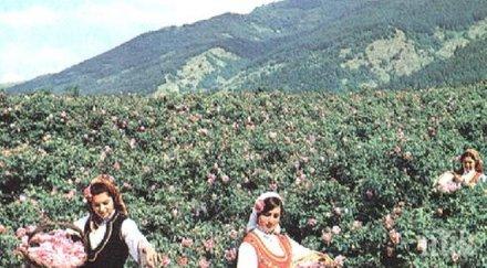 уникално видео вижте първата реклама българия далечната 1965 година