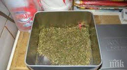 екшън софия арестуваха мъж жена докато продават наркотици красна поляна двамата имали домашна лаборатория дрога снимки