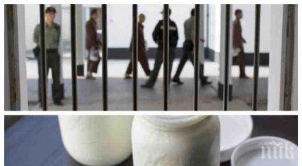 затворници белене произвеждат млечни продукти световни стандарти